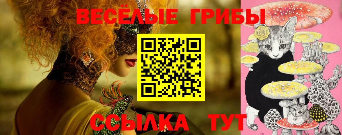 Галлюциногенные грибы Psilocybine cubensis  Вход с VPN  Галлюциногенные грибы Cubensis  Каспийск 