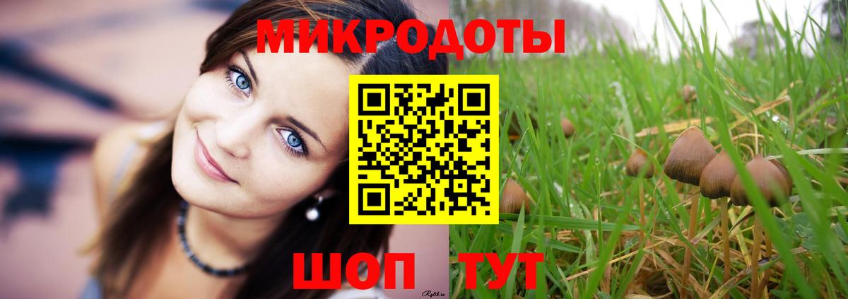Псилоцибиновые грибы MAGIC MUSHROOMS Каспийск